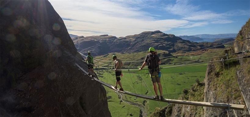 Wanaka Wildwire - Go Wild