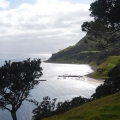 coromandel